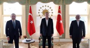 دیدار جواد ظریف و اردوغان در استانبول